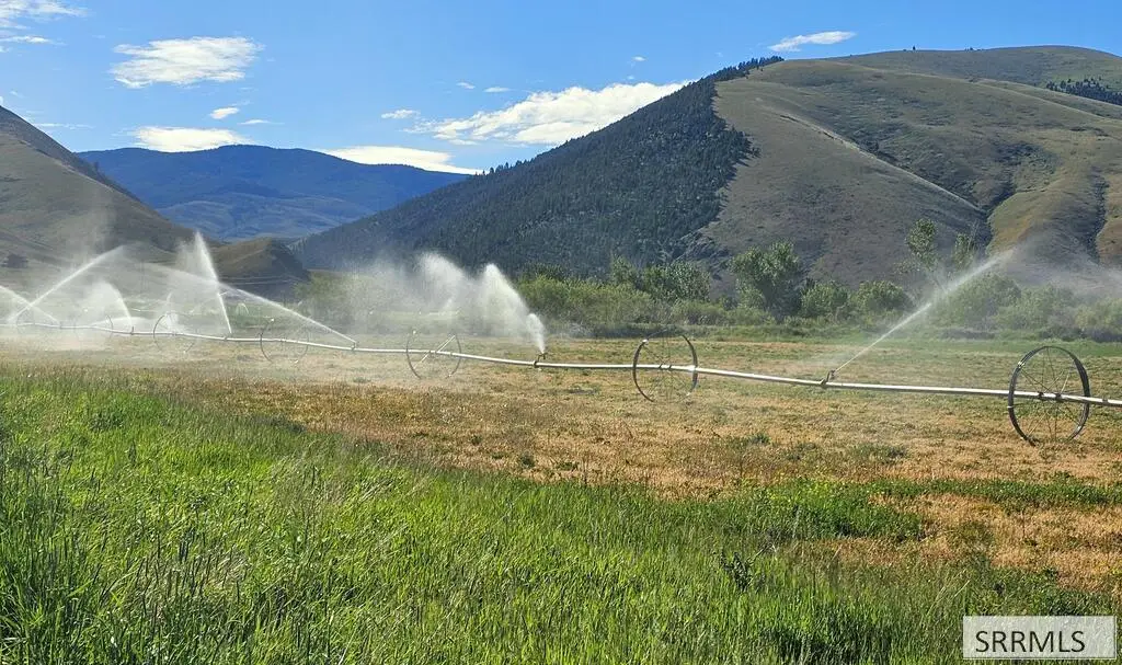 NKN Agency Creek Road, Tendoy, ID 83468 - #1