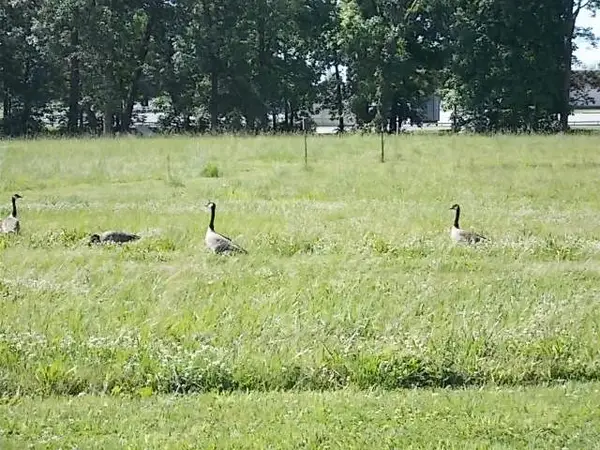 454 Beyers Lake Estate, Pana, IL 62557