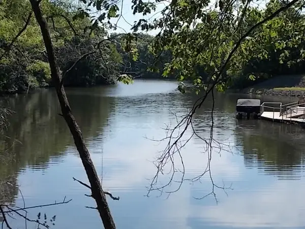 175 Beyers Lake Estate, Pana, IL 62557