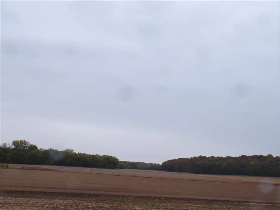 1700n, Cowden, IL 62422 - Image #2