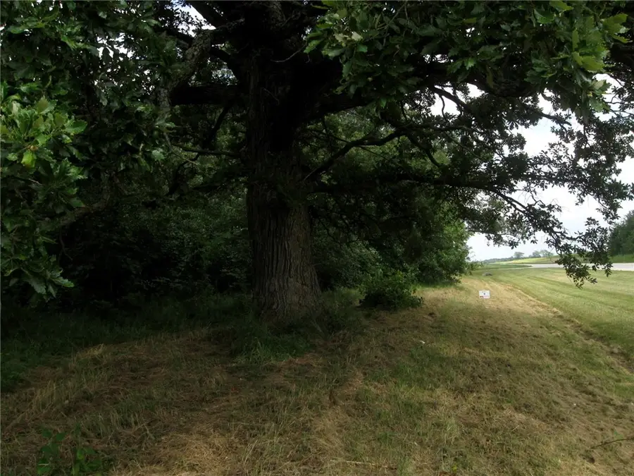 Hwy 136 Peaceful Court, Potomac, IL 61865 - Image #2