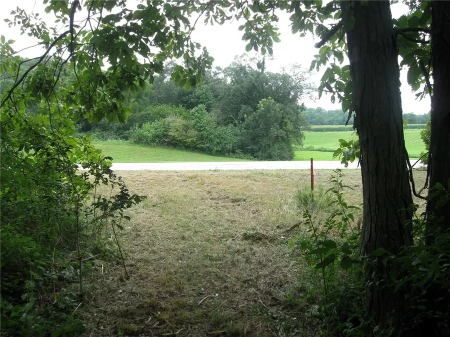 Hwy 136 Peaceful Court, Potomac, IL 61865 - Image #3