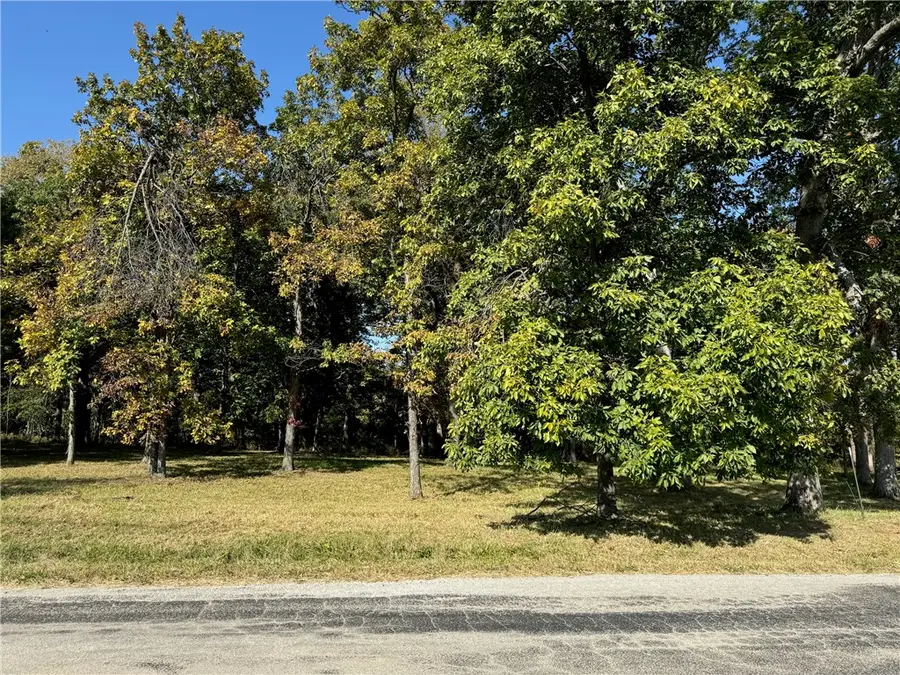 9262 Caleb Road, Argenta, IL 62501 - Image #2