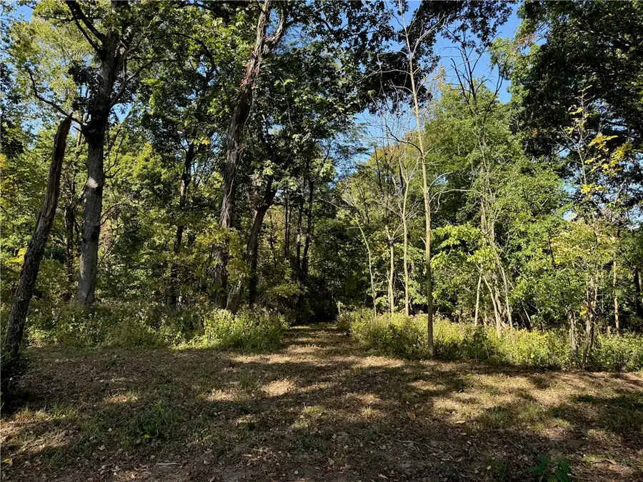 9262 Caleb Road, Argenta, IL 62501 - Image #3