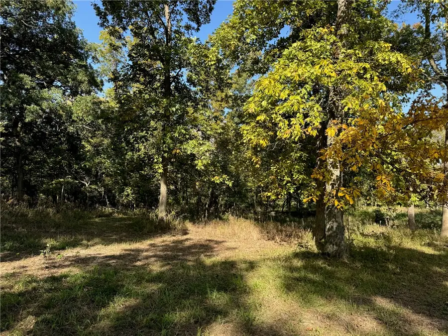 9264 Caleb Road, Argenta, IL 62501 - Image #3