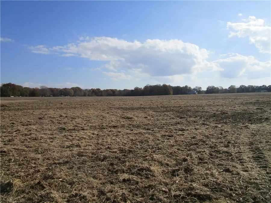 2625 E 230 Road, Pana, IL 62557 - Image #2