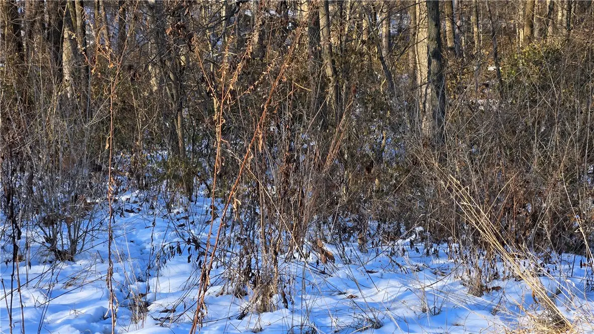 Sec 23-7-3e N10a Nw Ne, Saint Elmo, IL 62458 - Image #1