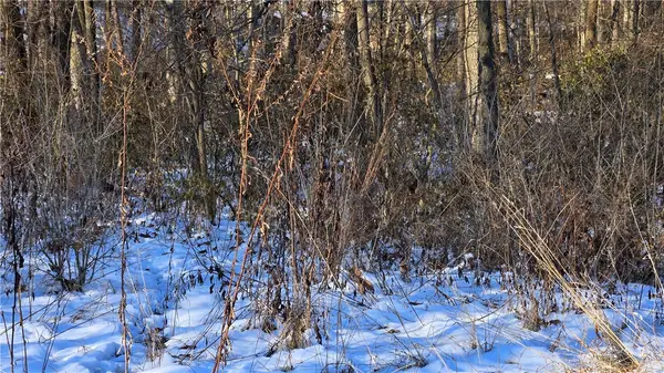 Sec 23-7-3e N10a Nw Ne, St Elmo, IL 62458