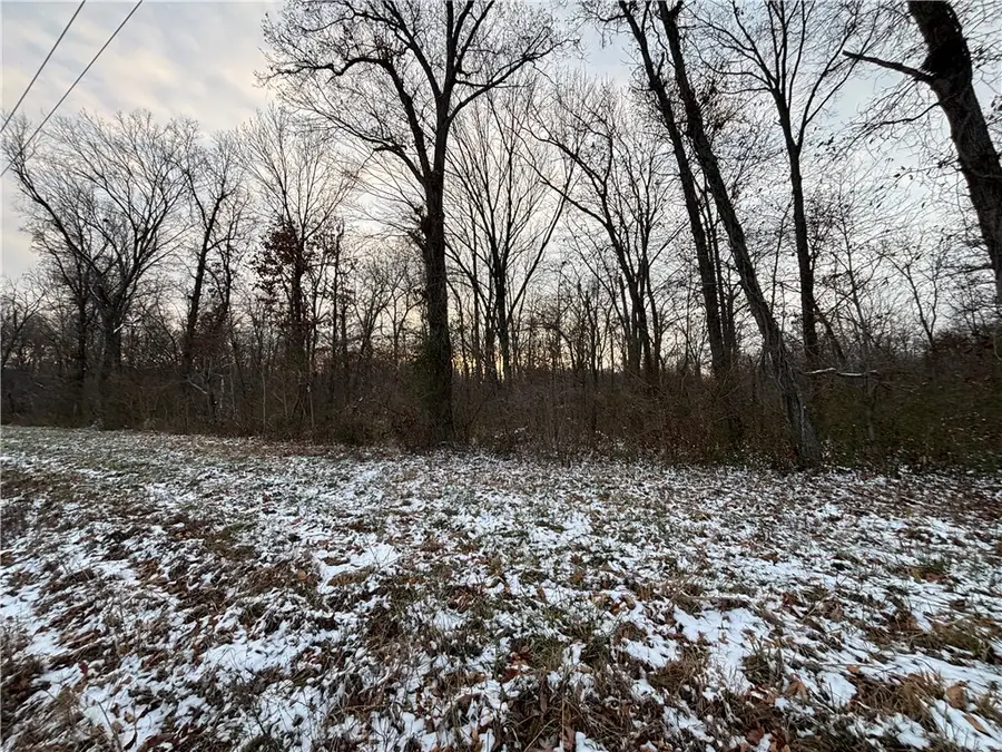 Kings Hill Road, Sumner, IL 62466 - Image #3