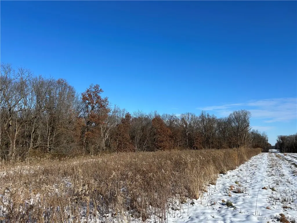 Tract 2 950 N Road, Lakewood, IL 62438 - Image #1