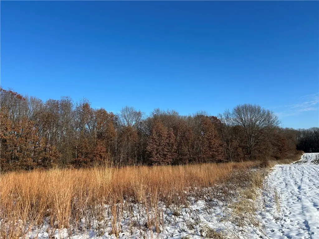 Tract 1 950 N Road, Lakewood, IL 62438 - Image #1