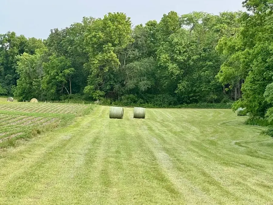 9620 N County Road 1300e Road, Charleston, IL 61920 - Image #3