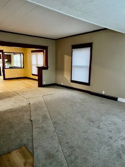 316 Plum Street, Danville, IL 61832 - Image #3