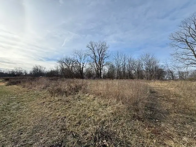 8.2 Ac 23-31-400-045, Westville, IL 61883 - Image #2