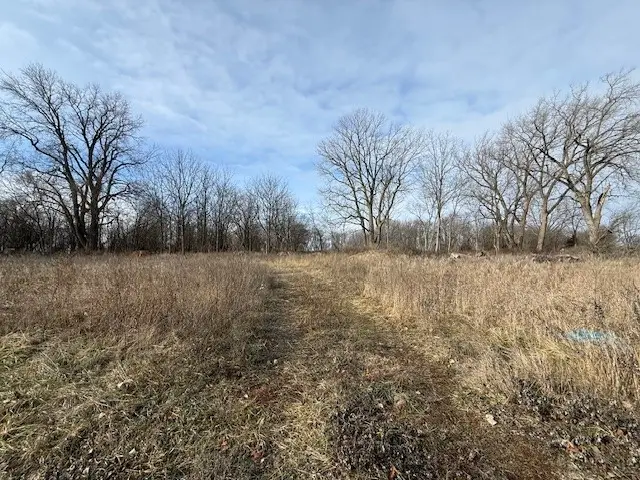 8.2 Ac 23-31-400-045, Westville, IL 61883 - Image #3