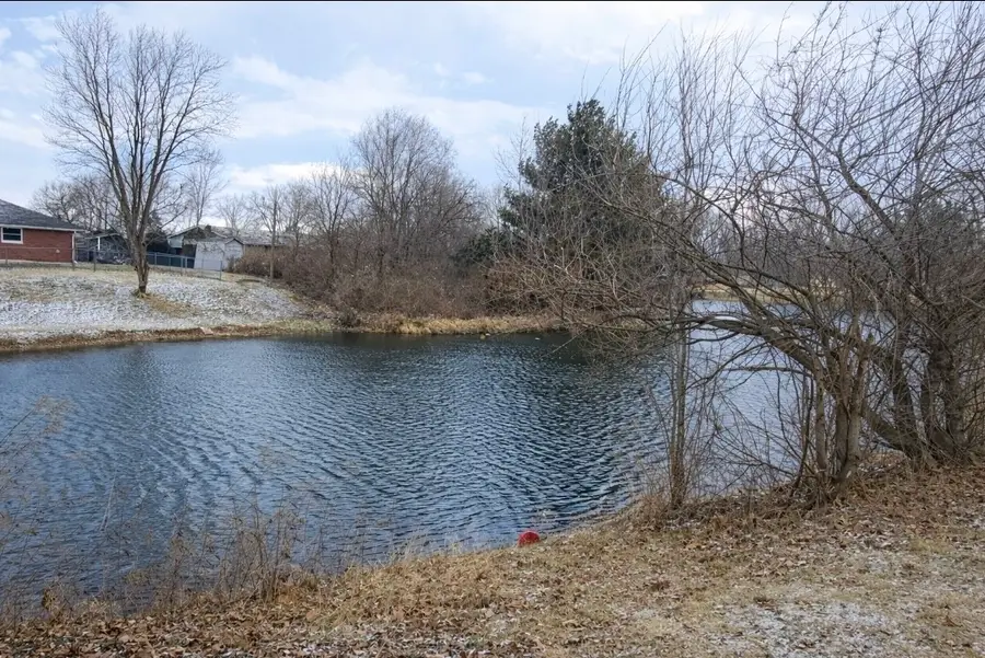 113 Lakeview Drive, Catlin, IL 61817 - Image #2