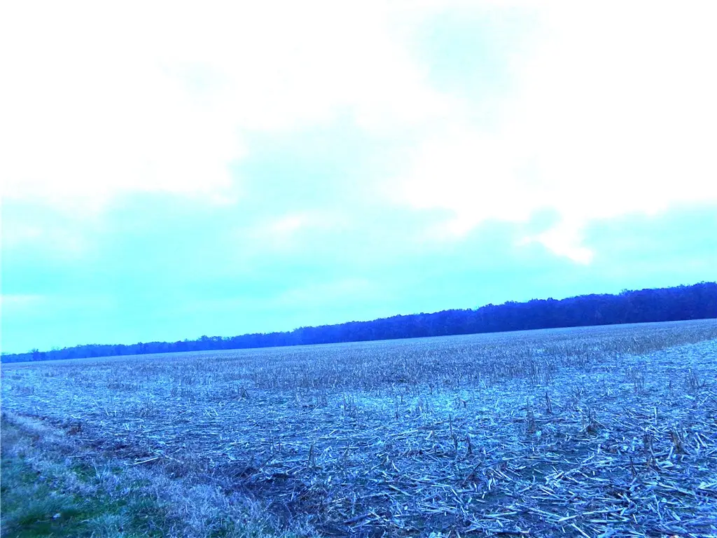 3050n, Herrick, IL 62431 - Image #1