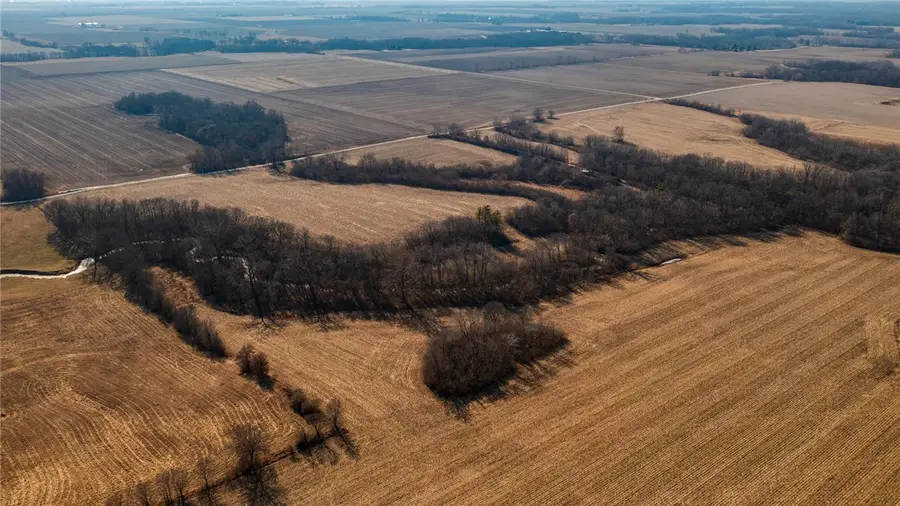 2775 N E Road, Windsor, IL 61957 - Image #3