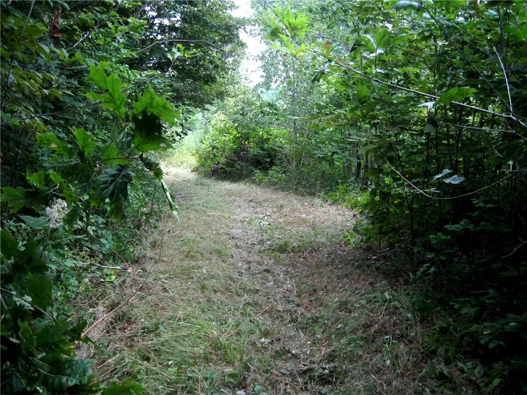 Peaceful Court, Potomac, IL 61865 - #1