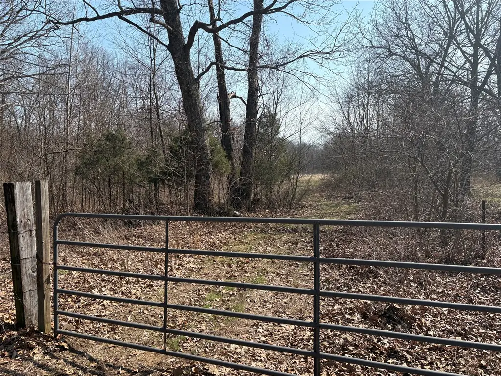 Goshawk Lane, Farina, IL 62838 - #1