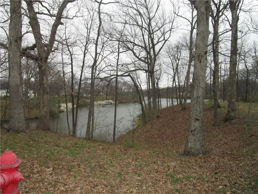 170 Beyers Lake Estate, Pana, IL 62557 - #2