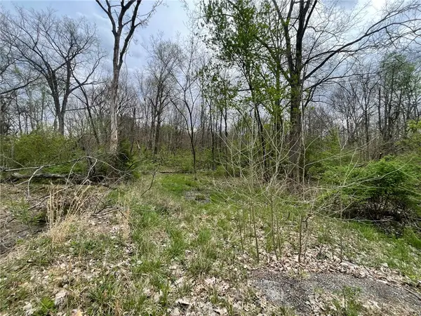 Route 130 Street, Greenup, IL 62428