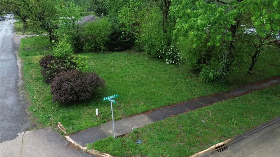 401 & 407 W Chestnut Street, Olney, IL 62450 - #1