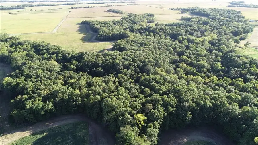 Cr 480 N, Lerna, IL 62440 - #3