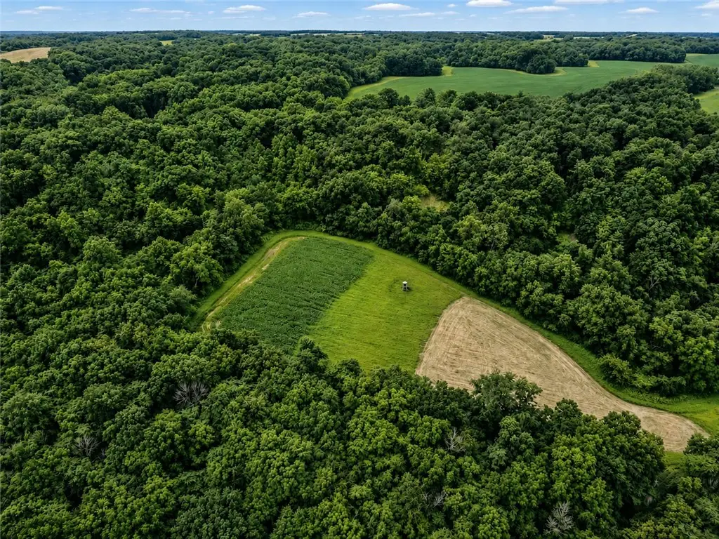 300 N Road, Lerna, IL 62440 - #1