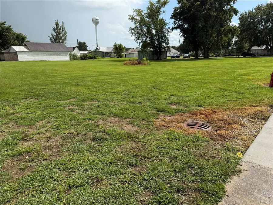 207 N Boyd Street, Montrose, IL 62445 - #3