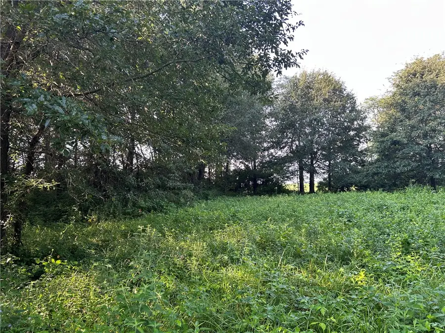 Mt Auburn Blacktop #1 Road, Decatur, IL 62522 - #3