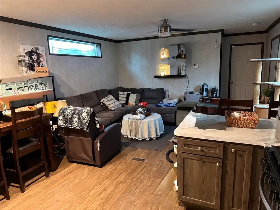 118 Lake Bluff Drive, Oakwood, IL 61858 - #3