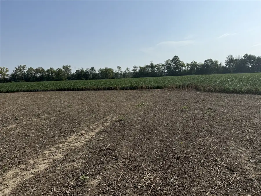 600 N 600 Street, Willow Hill, IL 62480 - #2