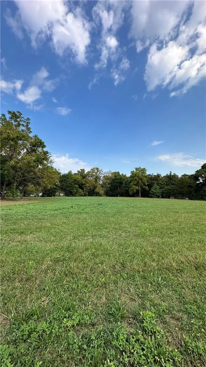 Us 40 Route, Altamont, IL 62411 - #2