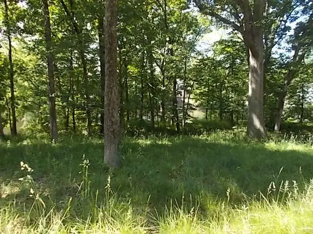 175 Beyers Lake Estate, Pana, IL 62557 - #2