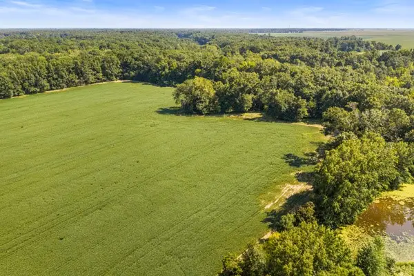 N Cline Orchard Road, Marshall, IL 62441
