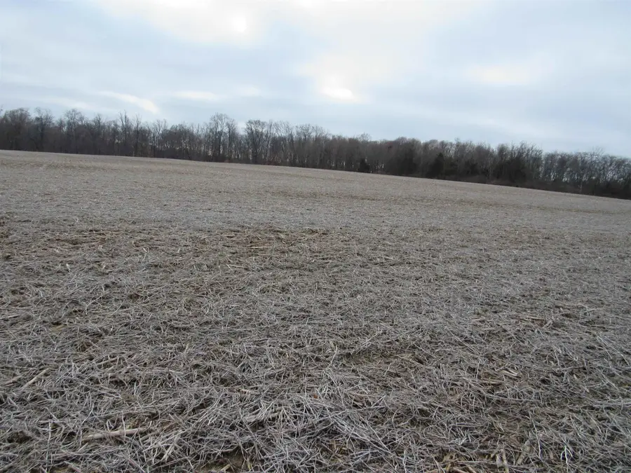 Old Brownsville Rd, Liberty, IN 47353 - #3
