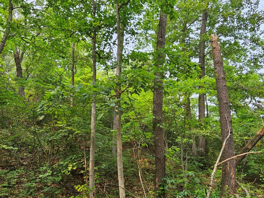 0 Pleasant Avenue, Beverly Shores, IN 46301 BHGRE