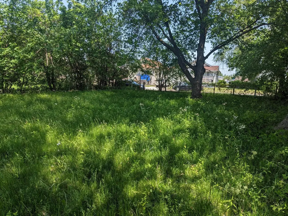 1360 Sherman Street, Hammond, IN 46320 - Image #1