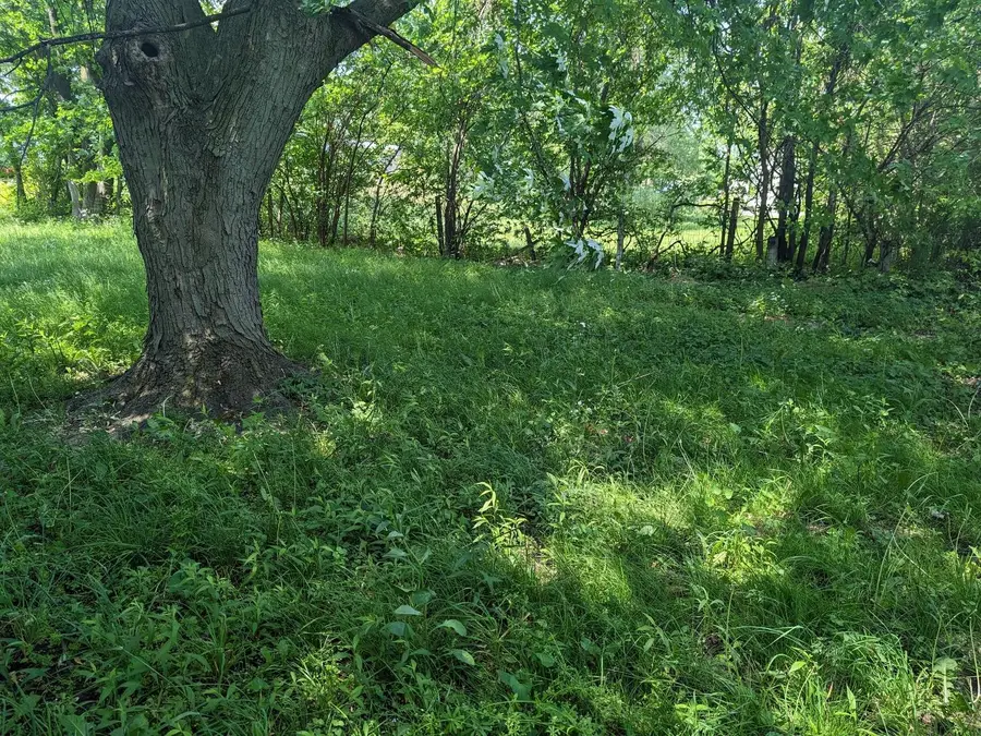 1360 Sherman Street, Hammond, IN 46320 - Image #2