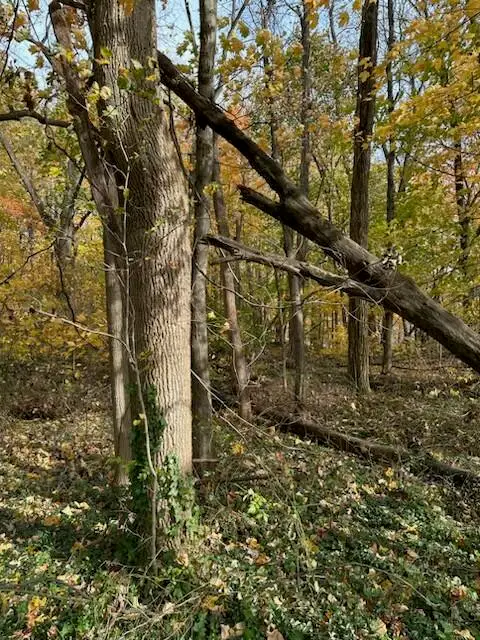 #2