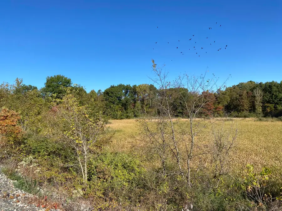 Tbd- 60.04 Creasy Street, Portage, IN 46368 - Image #3