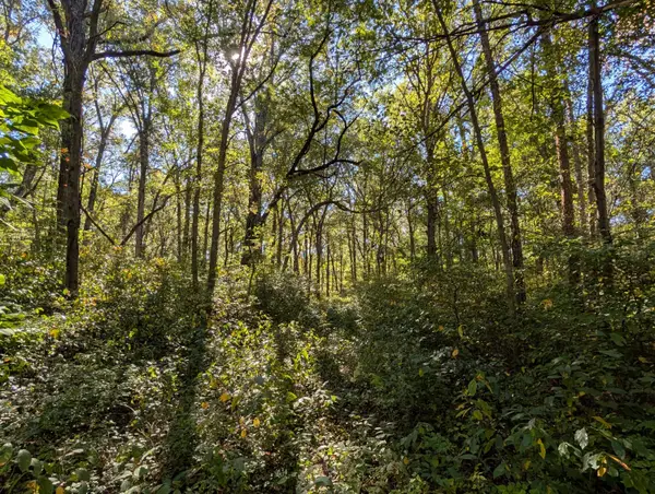 , 244th Place, Schneider, IN 46376