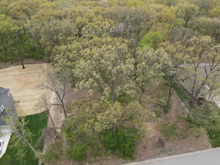 742 Druim Trail, Crown Point, IN 46307 - Image #3