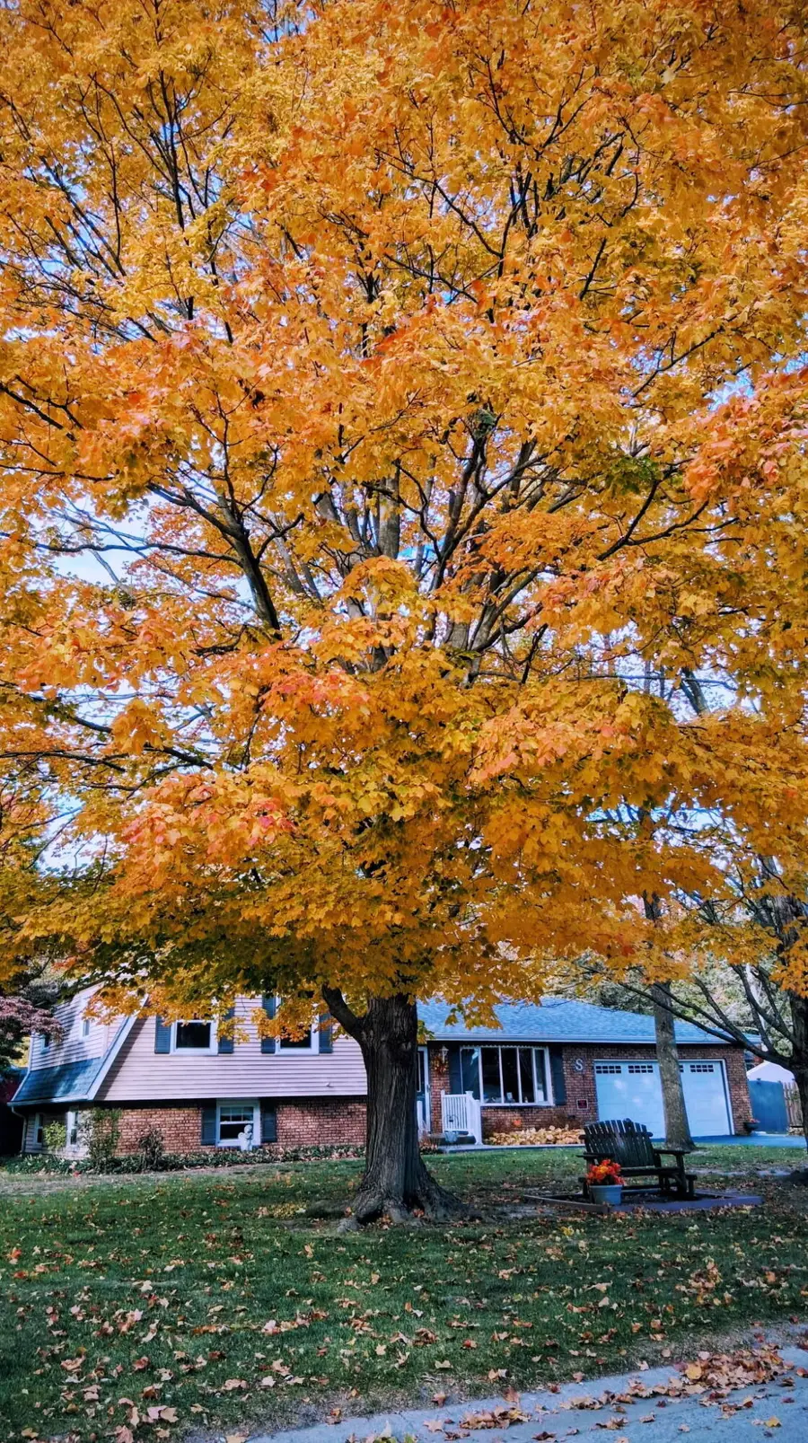 1220 Dogwood Drive, Chesterton, IN 46304 - Image #2