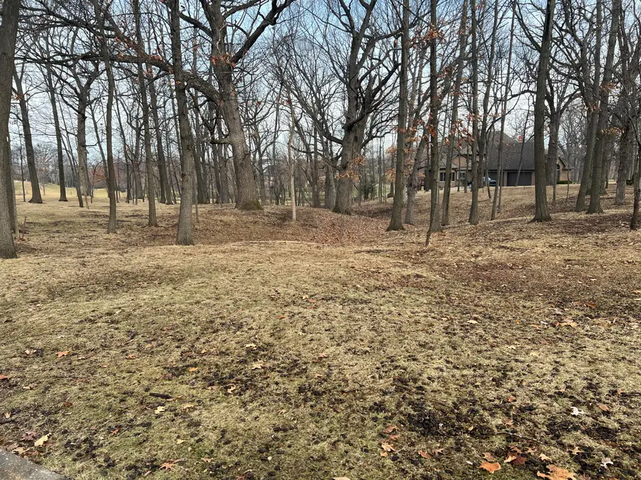 12850 W 102nd Street, Saint John, IN 46373 - #3