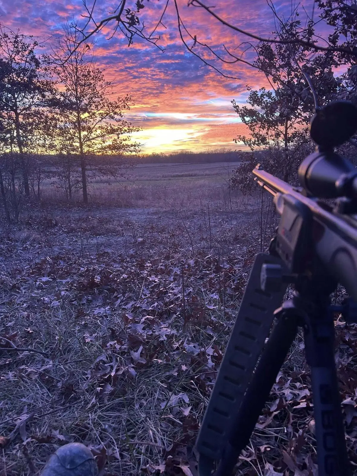 700 N North N, Wheatfield, IN 46392 - Image #1