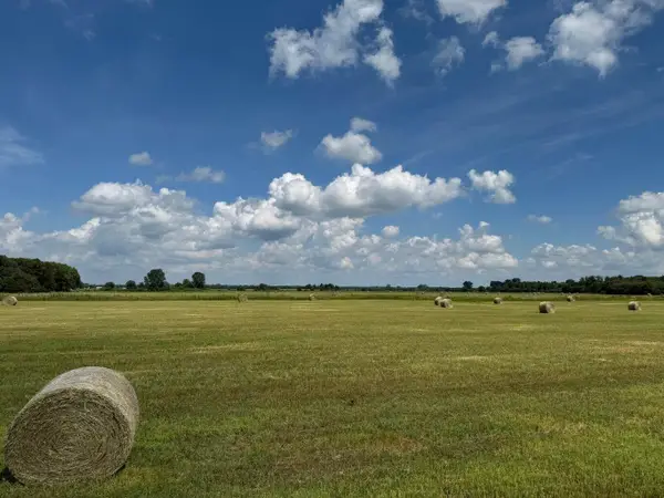 8165-8221 N St Rd 55, Lake Village, IN 46349