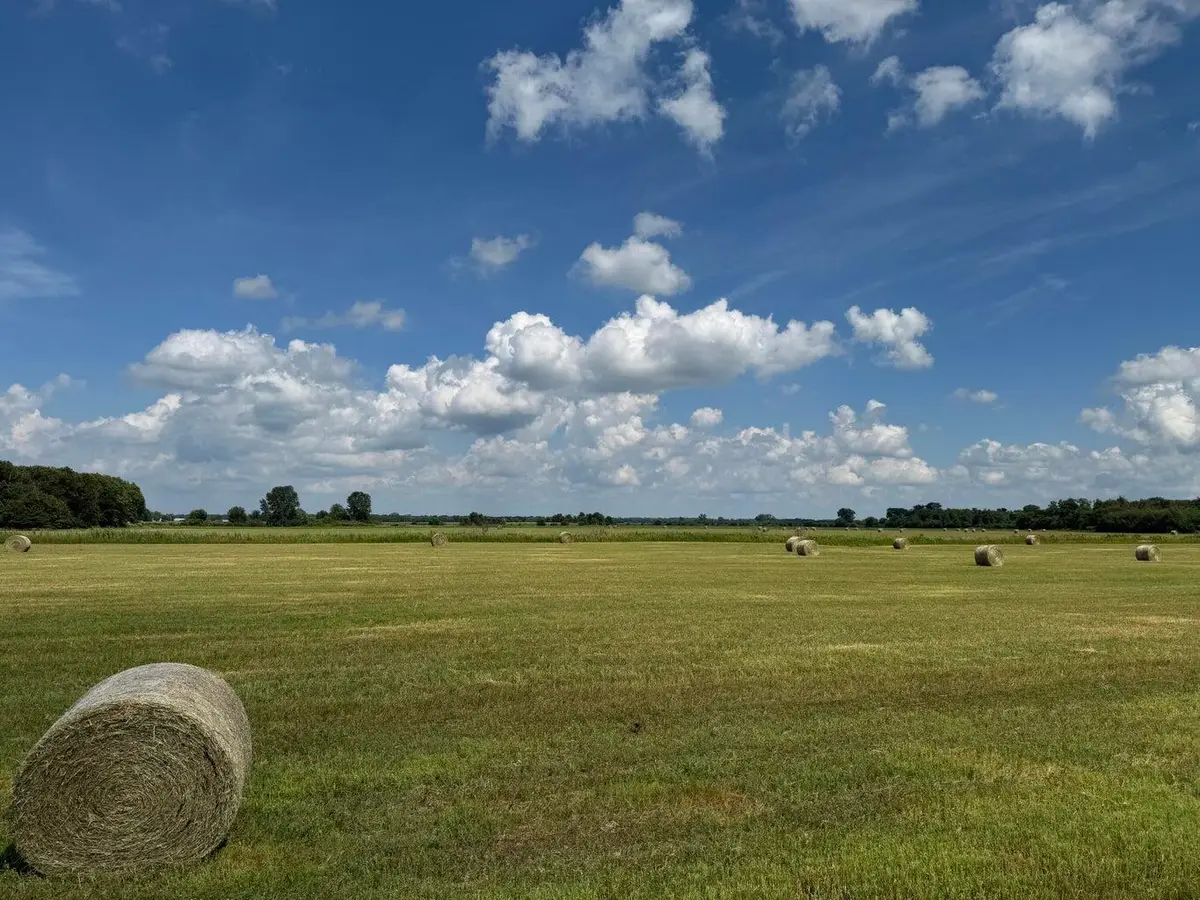 8291-8351 N St Rd 55, Lake Village, IN 46349 - Image #1