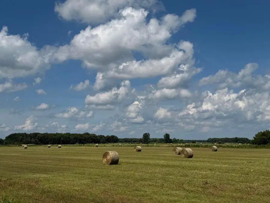 8291-8351 N St Rd 55, Lake Village, IN 46349 - Image #3